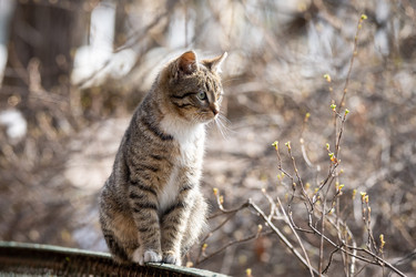 Similar image 22052549