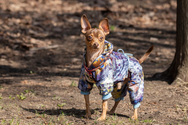 Similar image 22052564