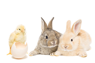 Similar image 22052567