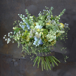 Similar image 22051623