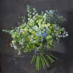 Similar image 22051624