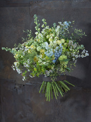 Similar image 22051625