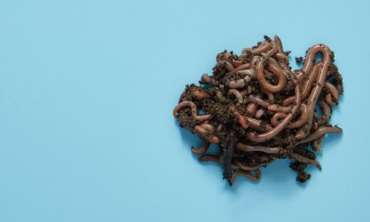 Similar image 22052940