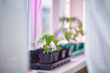 Similar image 22052942