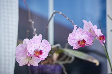 Similar image 22052944