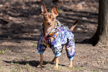 Similar image 22052574