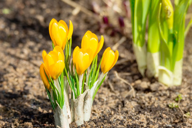 Similar image 22052580