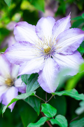 Similar image 22052596