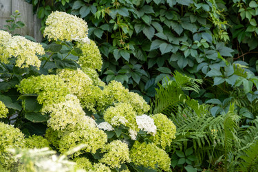 Similar image 22057461