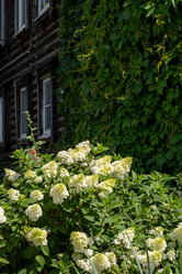 Similar image 22057462