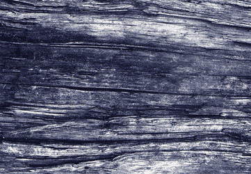 Similar image 22051484