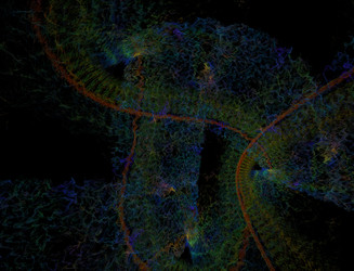 Similar image 22052292