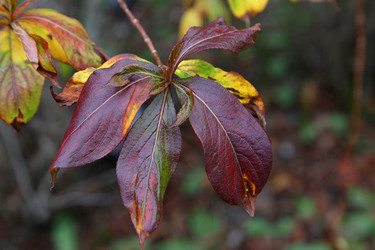 Similar image 22053185