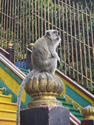 Similar image 22051836