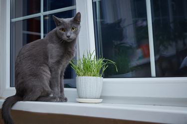 Similar image 22052945