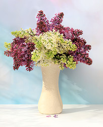 Similar image 22051922