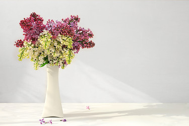 Similar image 22051923