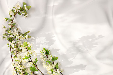 Similar image 22051924