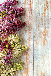 Similar image 22051925