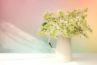 Similar image 22051926