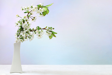 Similar image 22051927