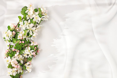 Similar image 22051929