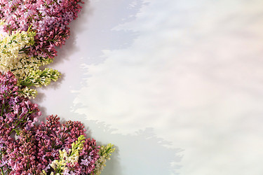 Similar image 22051931