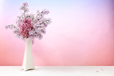 Similar image 22051932