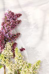 Similar image 22051933