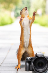 Similar image 22052775