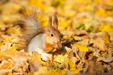 Similar image 22052625