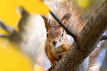 Similar image 22052632