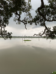 Similar image 22051934