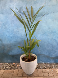 Similar image 22051940