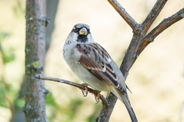 Similar image 22052669