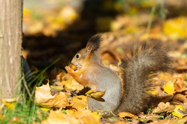 Similar image 22052672