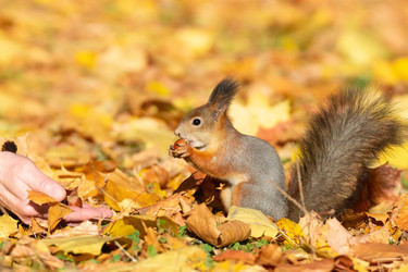 Similar image 22052677