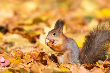 Similar image 22052681