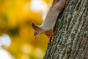 Similar image 22052683