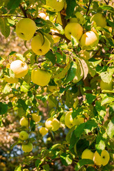 Similar image 22052685