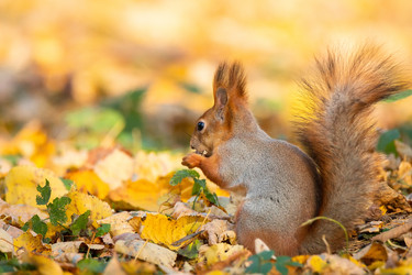 Similar image 22052686