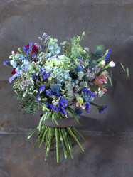 Similar image 22051717