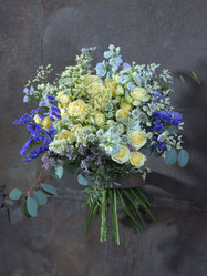 Similar image 22051737