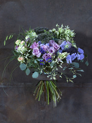 Similar image 22052372