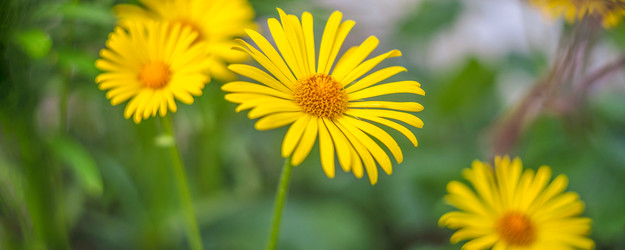 Similar image 22052948