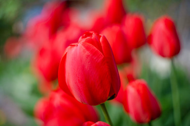 Similar image 22052950