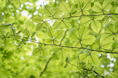 Similar image 22052951