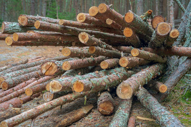 Similar image 22052953