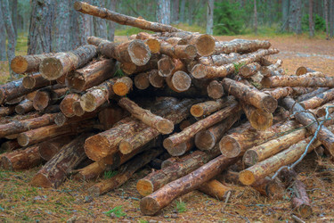 Similar image 22052954