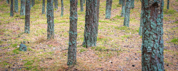 Similar image 22052955